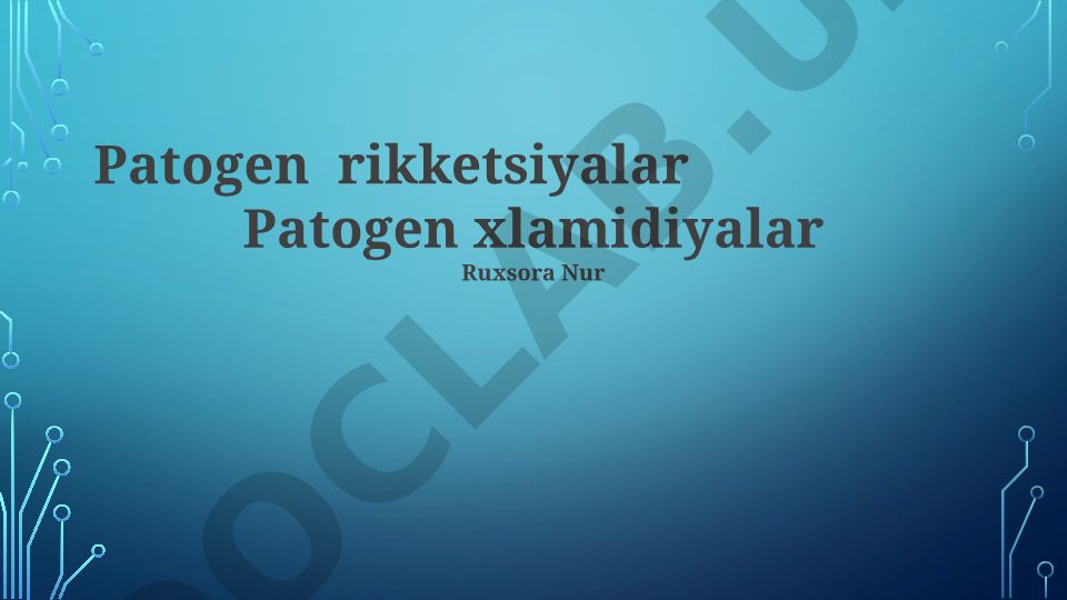 Rikketsiya va Xlamidiya bakteriyalari: kasalliklar, davolash va oldini olish