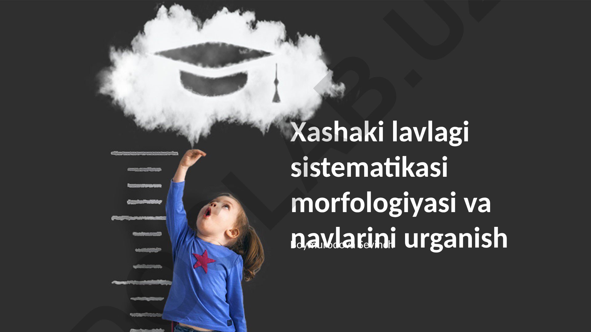 Xashaki lavlagi sistematikasi, morfologiyasi va navlari