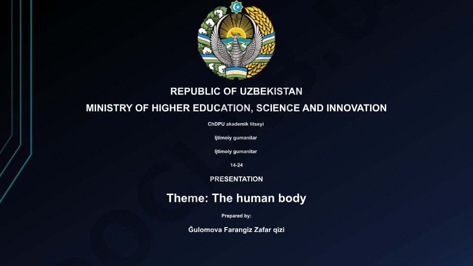 The human body