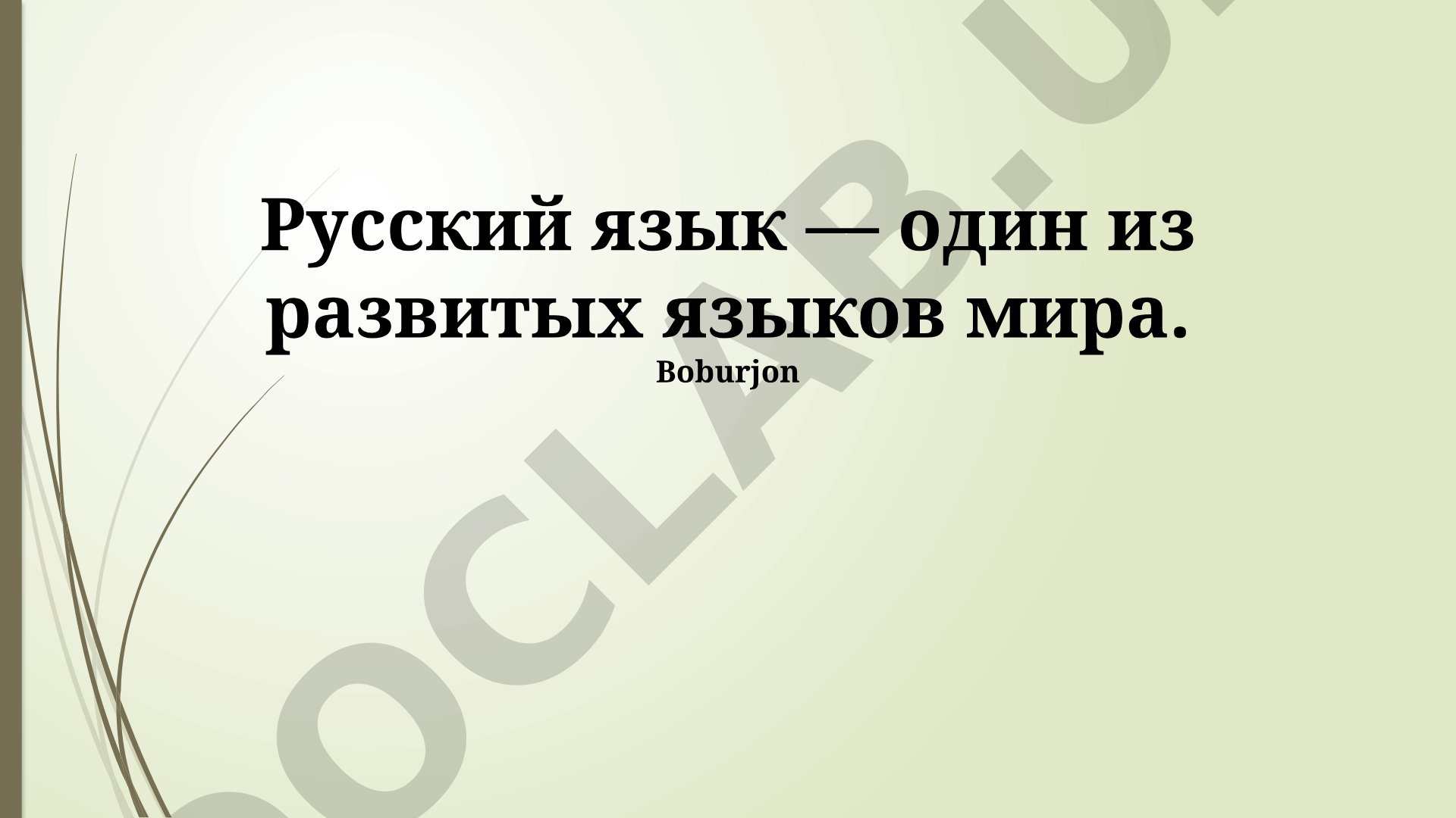 Русский язык: богатство, развитие и роль в мире