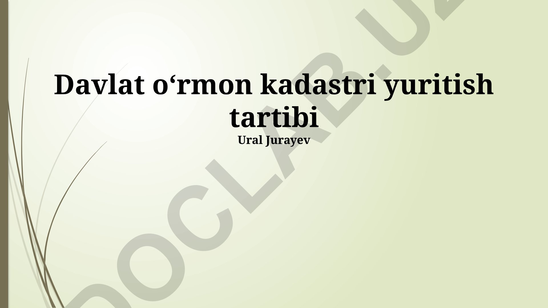 Davlat oʻrmon kadastri yuritish tartibi