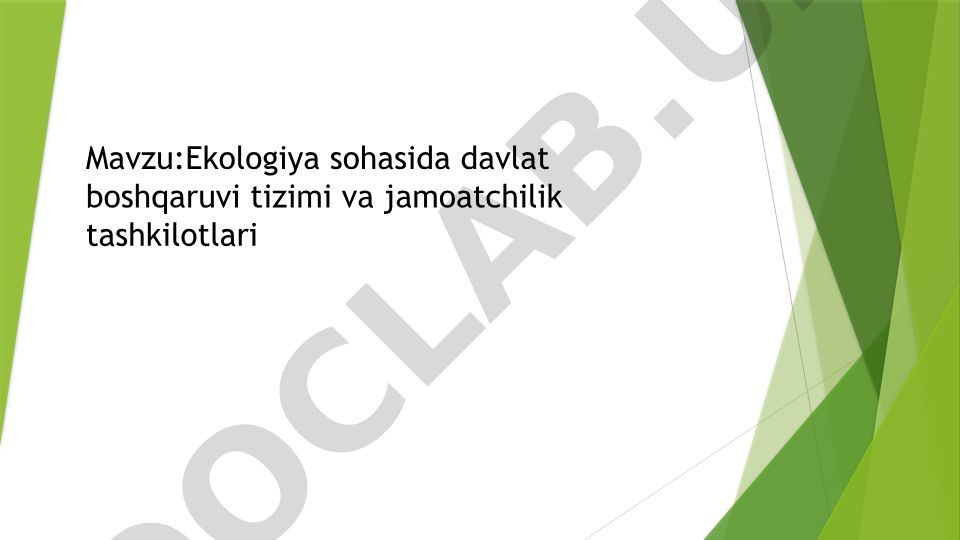 Ekologiya sohasida davlat boshqaruvi tizimi va jamoatchilik tashkilotlari