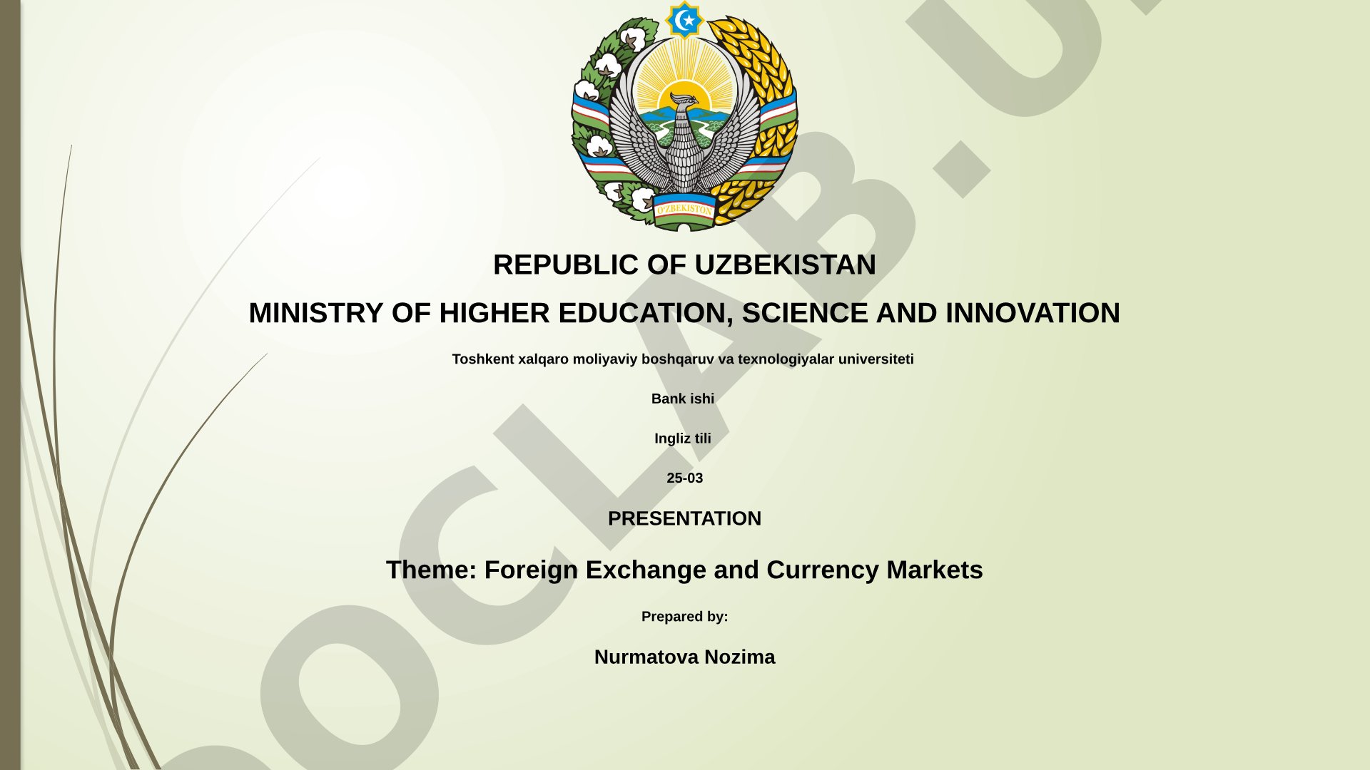 Foreign Exchange and Currency Markets
