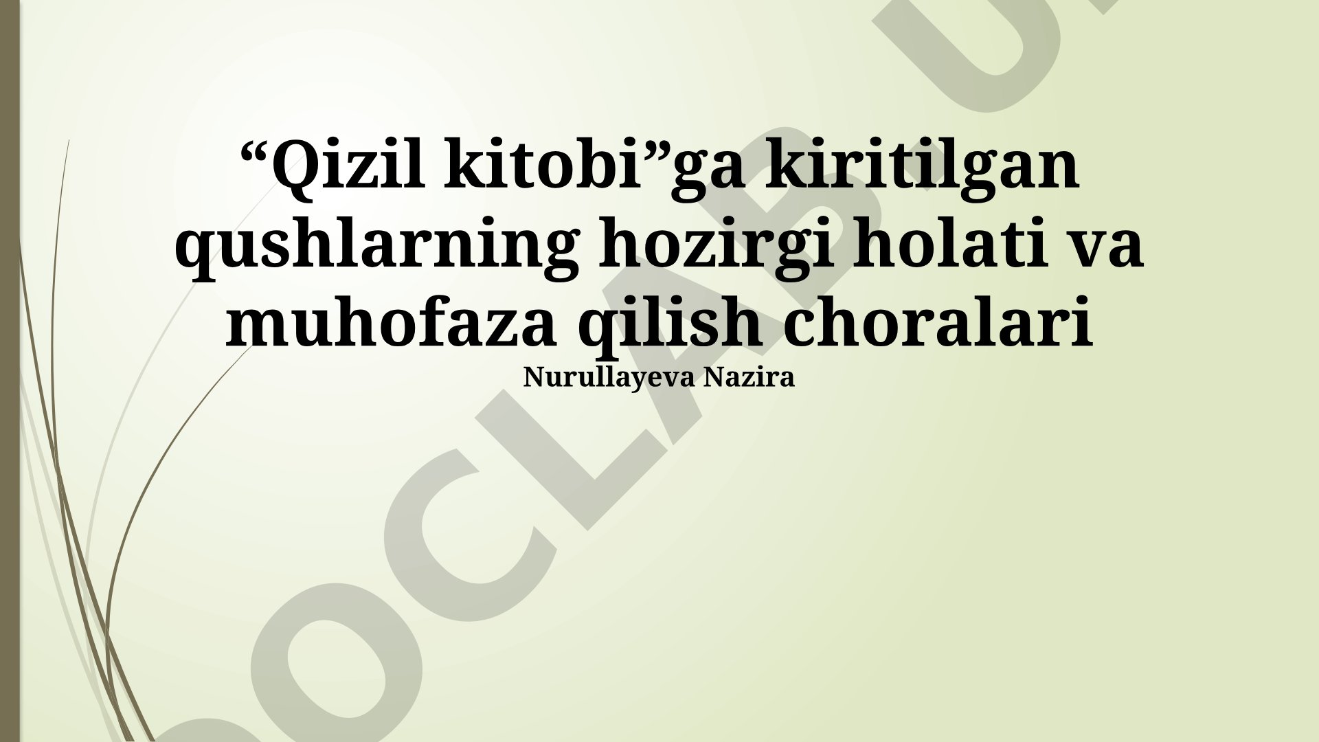 Qizil kitobiga kiritilgan qushlarning hozirgi holati va muhofaza qilish choralari