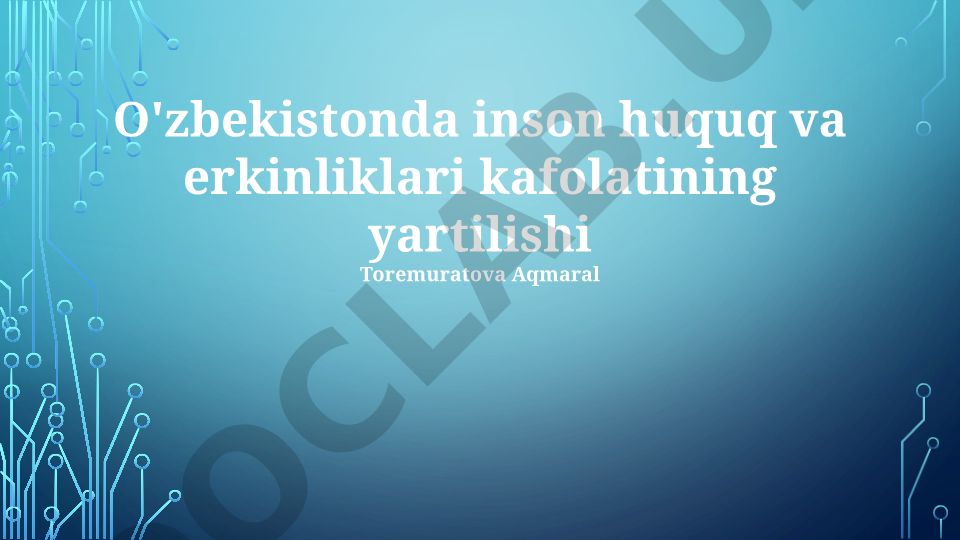 O'zbekistonda inson huquqlari va erkinliklarini kafolatlash