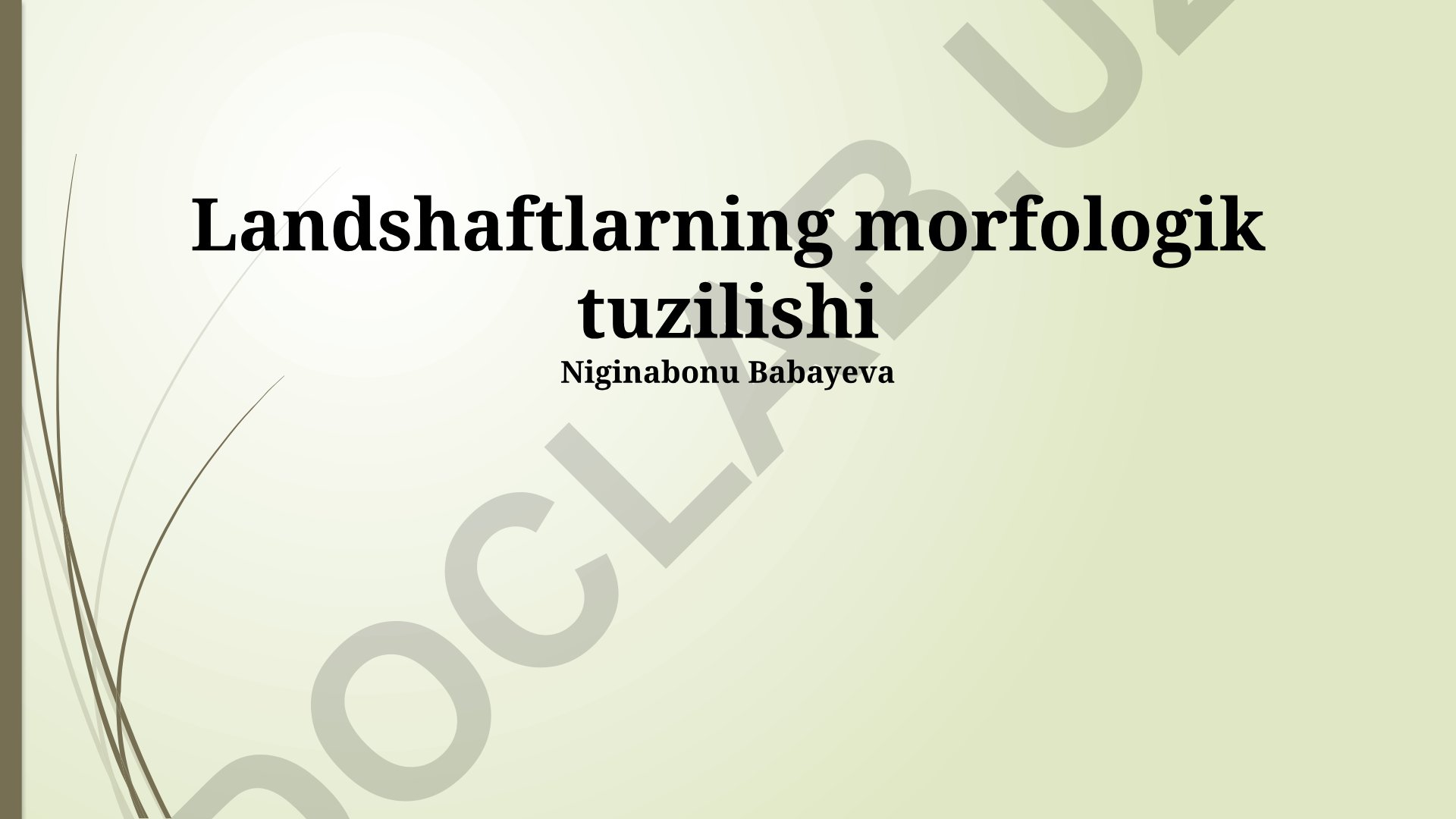Landshaftlarning morfologik tuzilishi