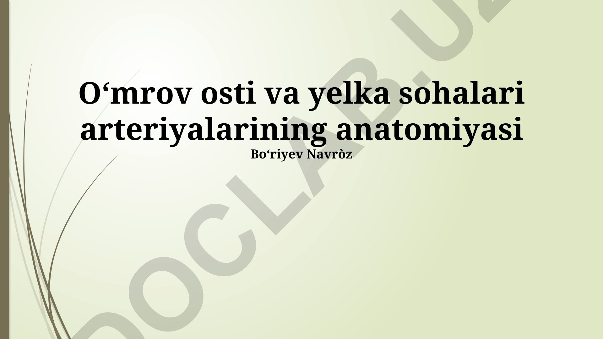 Oʻmrov osti va yelka sohalari arteriyalarining anatomiyasi
