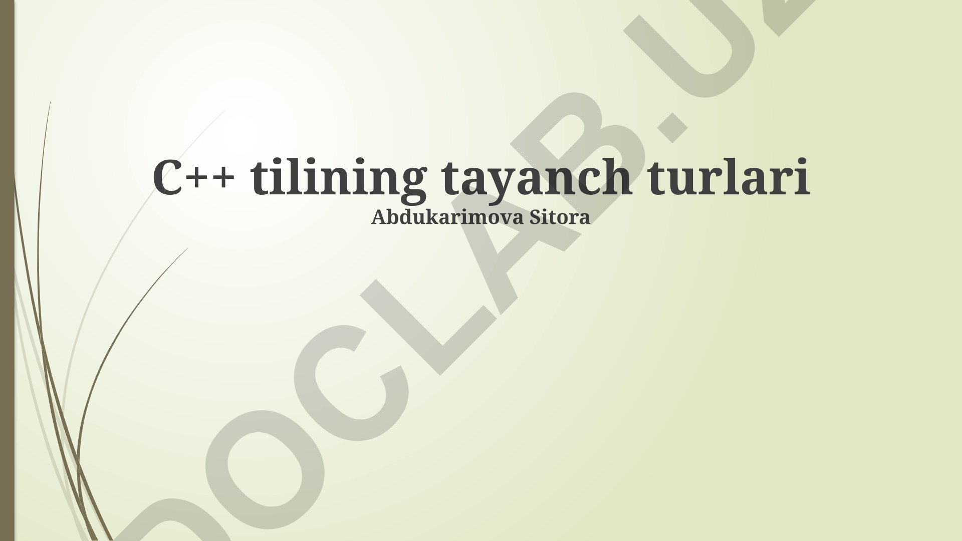 C++ tilining tayanch turlari va kafel kattaliklarini qo'llab-quvvatlash