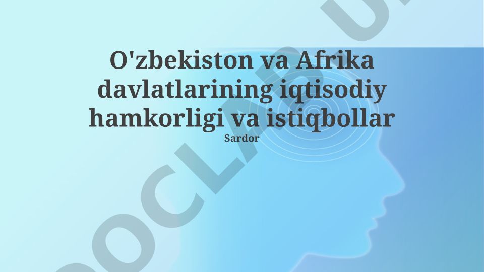 O'zbekiston va Afrika davlatlarining iqtisodiy hamkorligi va istiqbollar