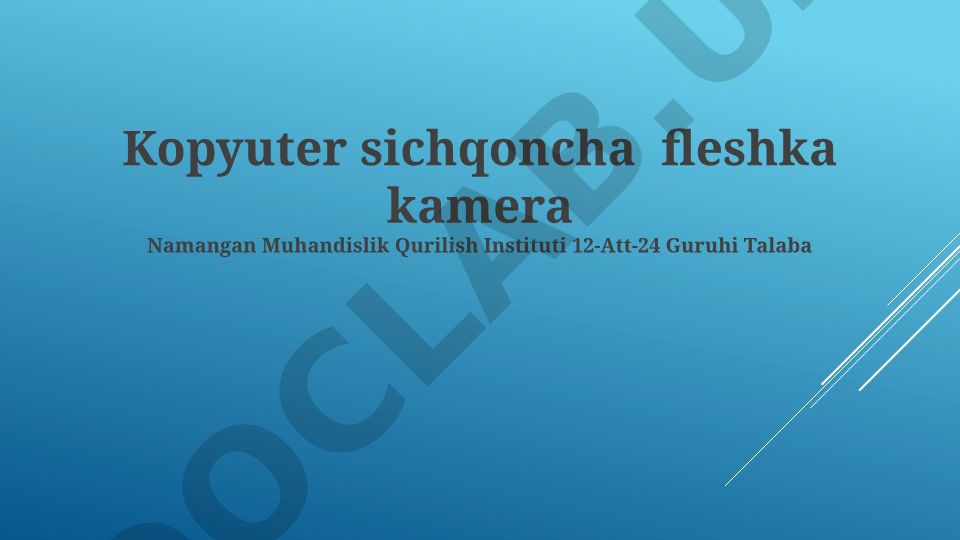 Kompyuter sichqonchasi, fleshka va kamera haqida taqdimot
