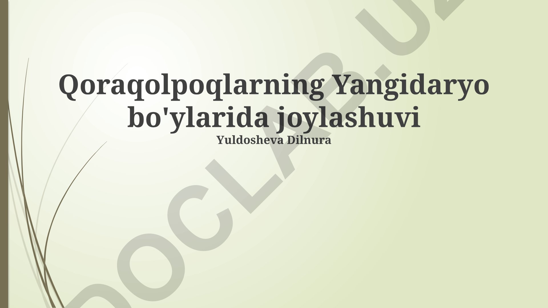 Qoraqalpoqlarning Yangidaryo bo'yidagi joylashuvi va rivojlanishi