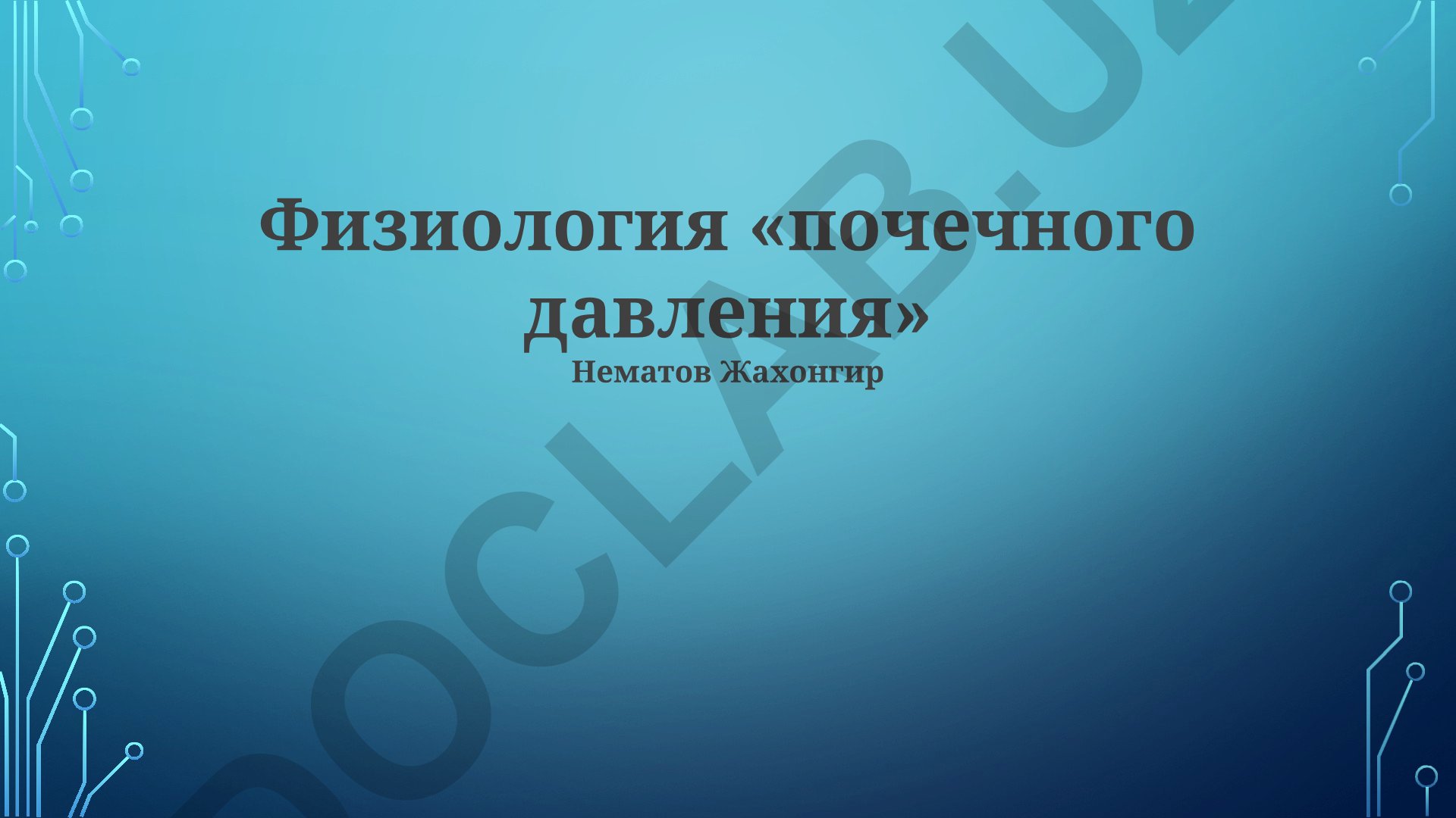 Физиология почечного давления