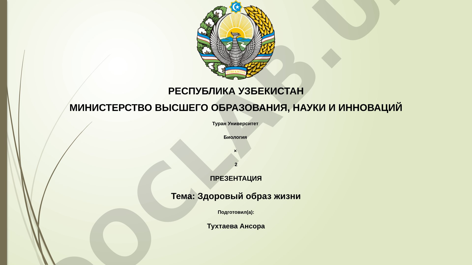 Здоровый образ жизни