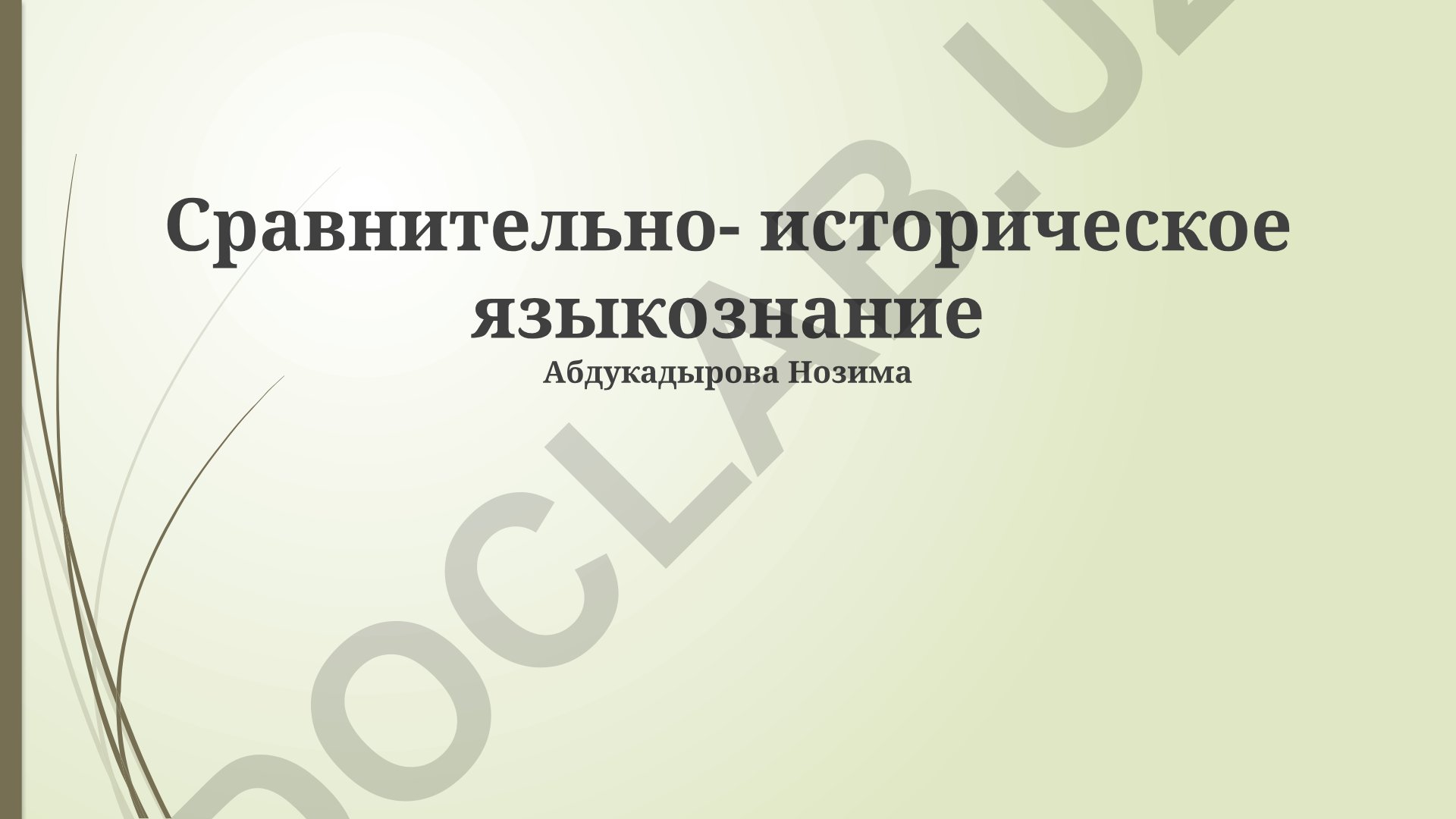 Сравнительно-историческое языкознание