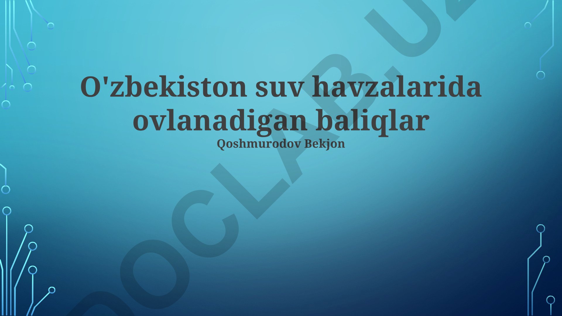 O'zbekiston suv havzalarida ovlanadigan baliqlar
