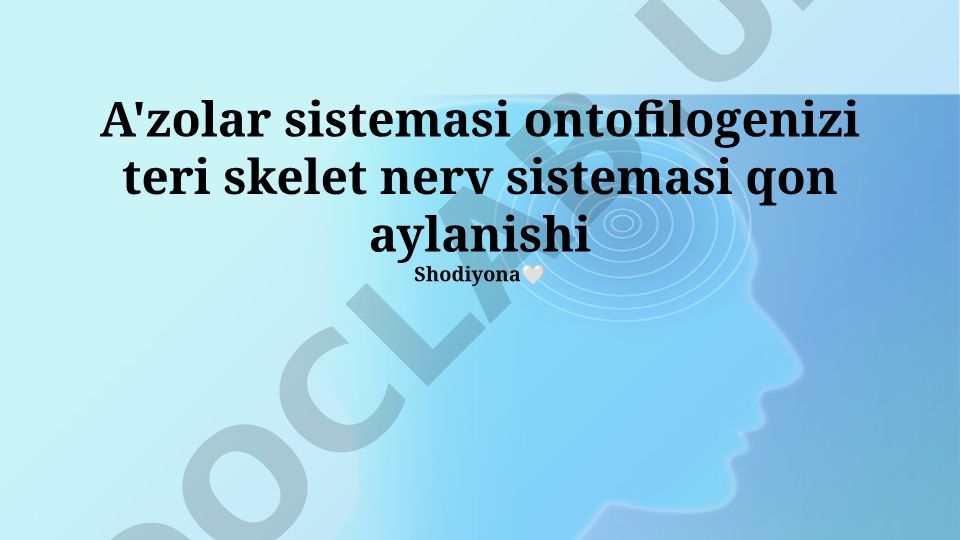 Tayanch-harakat tizimi, teri, skelet, nerv tizimi va qon aylanish tizimining ontofilogenezi