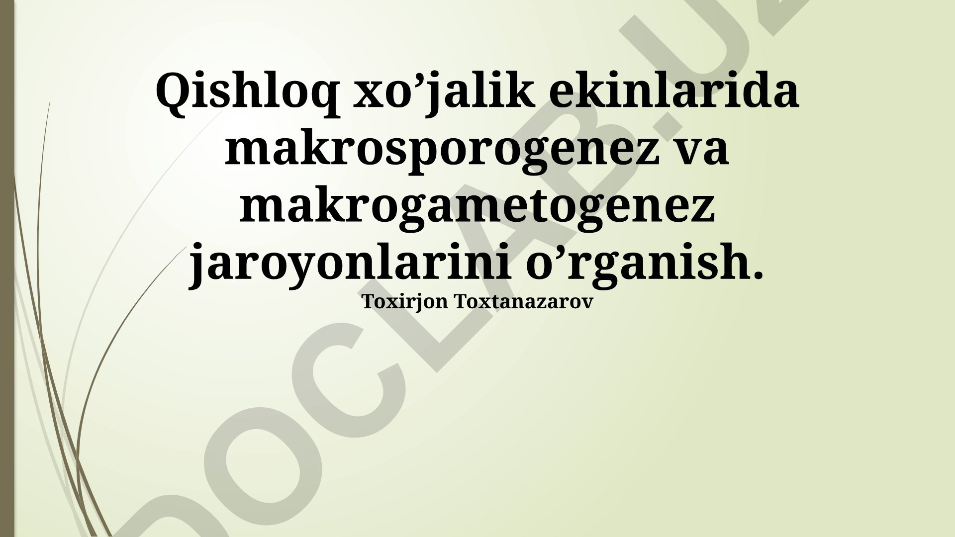 Qishloq xo'jalik ekinlarida makrosporogenez va makrogametogenez jaroyonlari