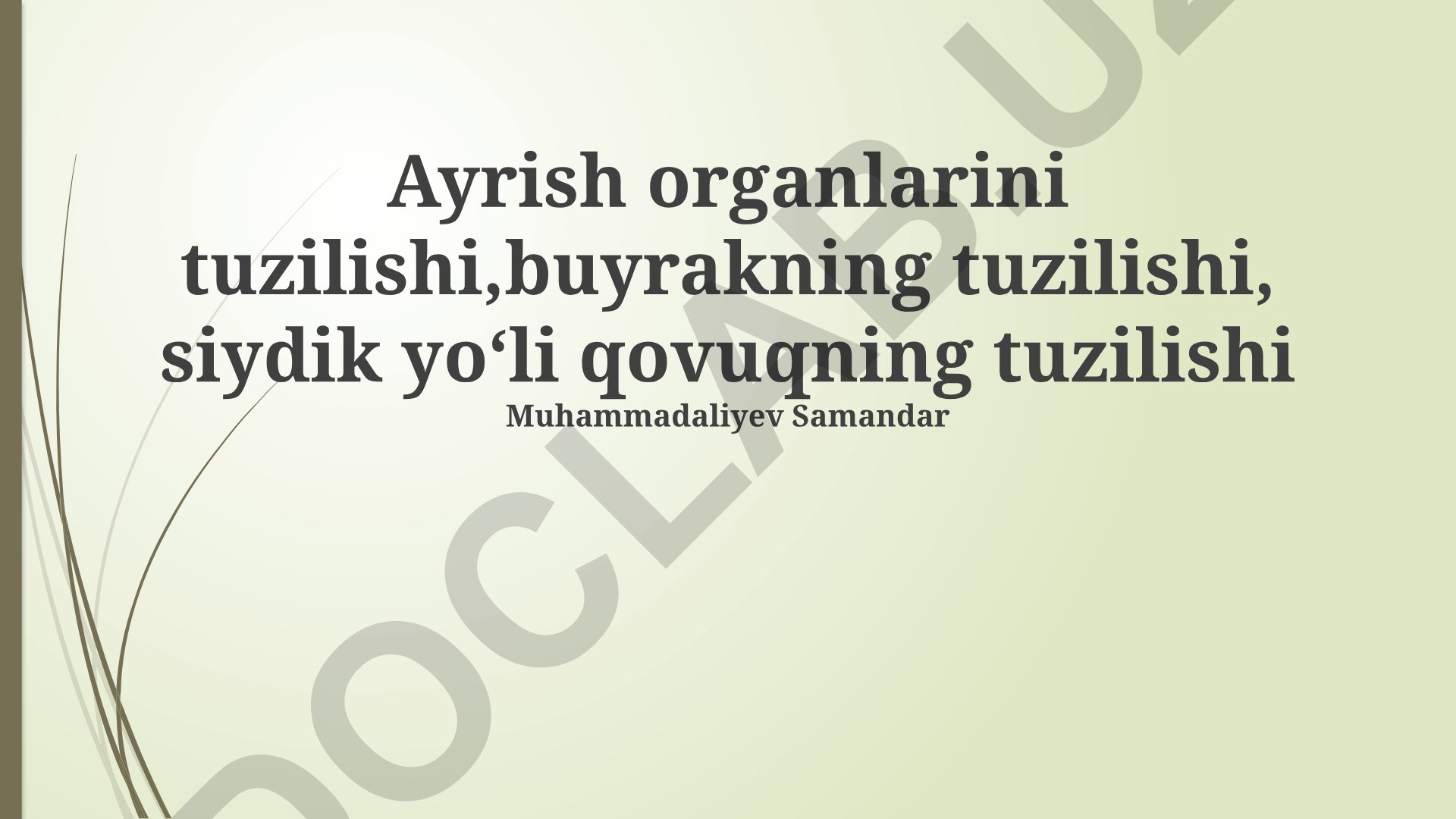 Ayrish organlarining tuzilishi va funksiyasi