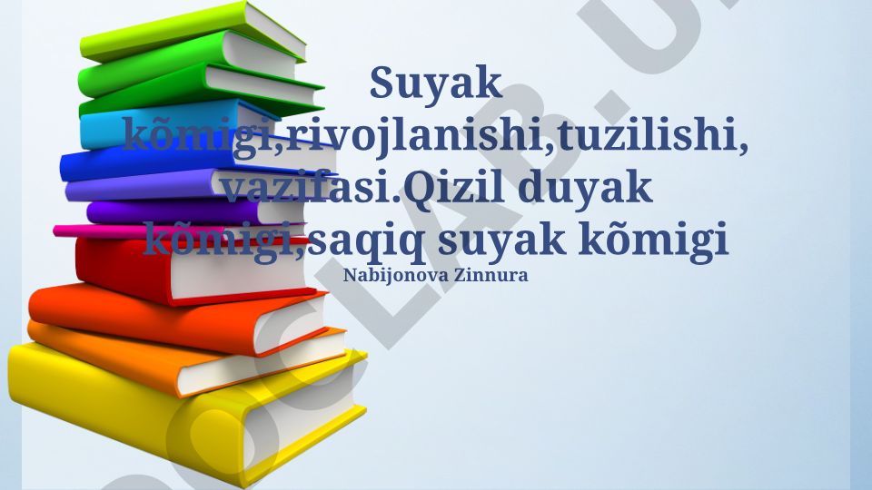Suyak ko'mig'i: rivojlanishi, tuzilishi va vazifalari