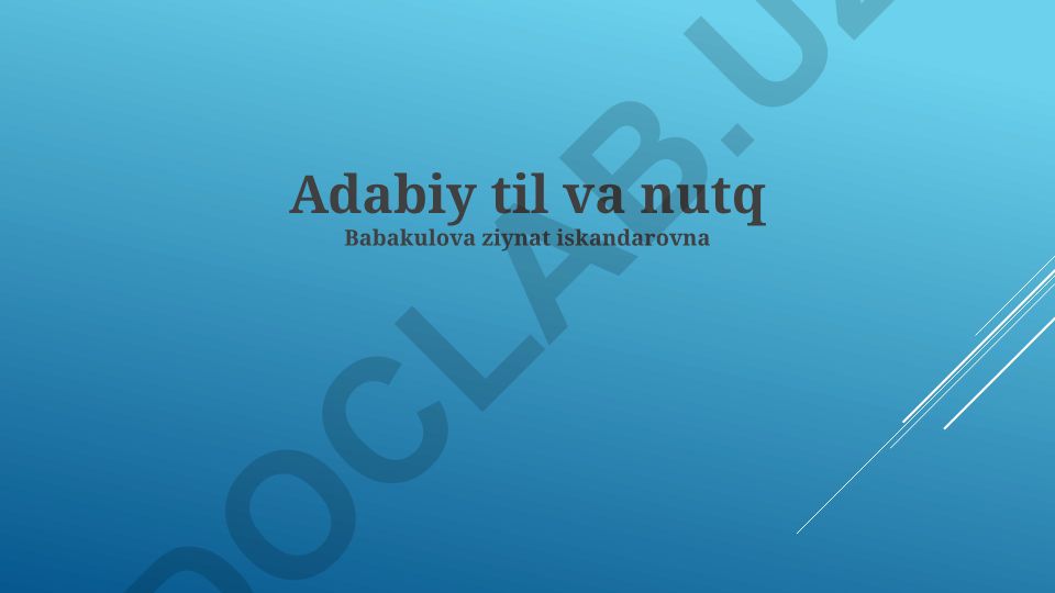 Adabiy til va nutqning o'zaro bog'liqligi va zamonaviy holati