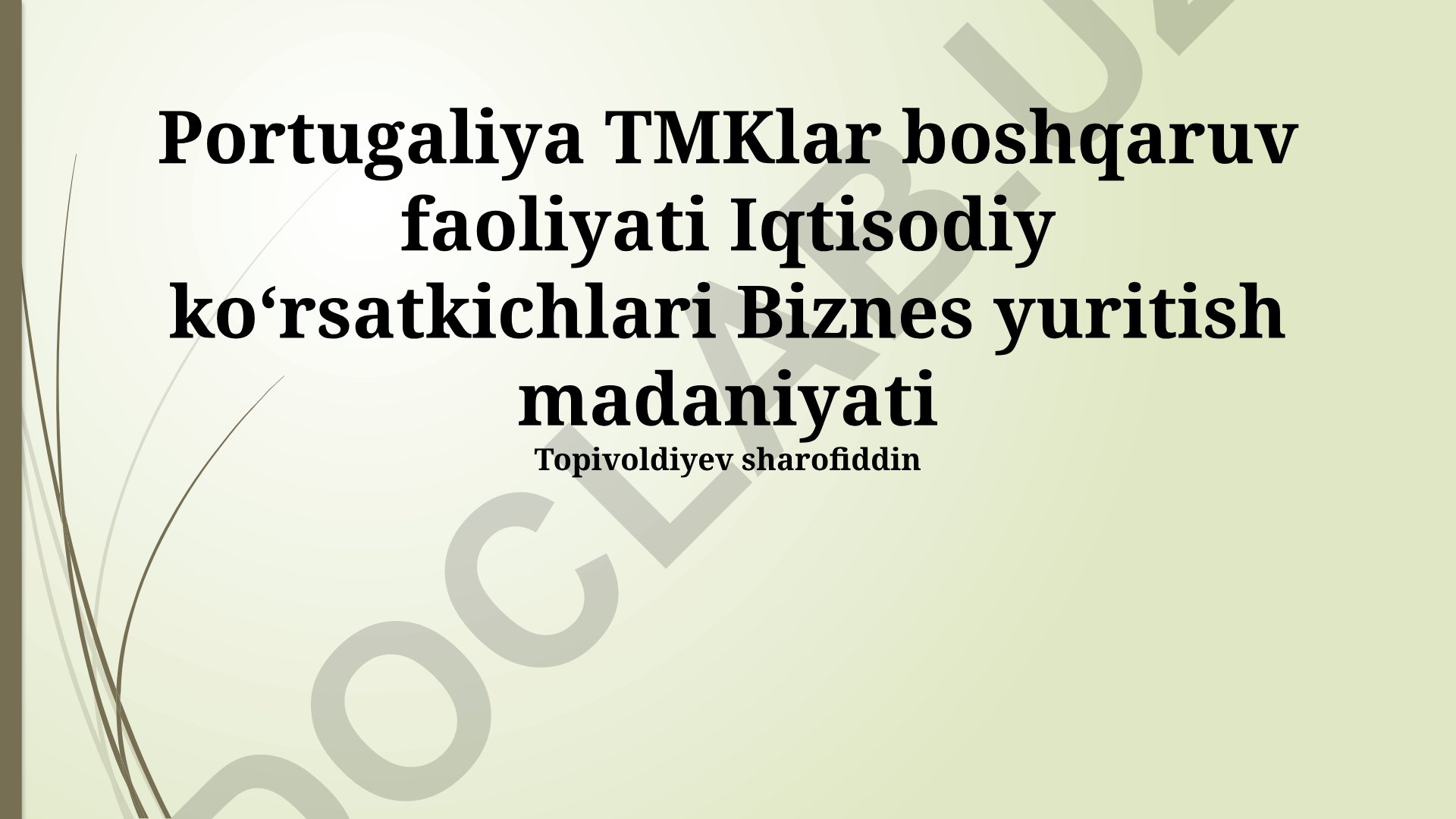 Portugaliya TMKlar boshqaruv faoliyati, iqtisodiy ko'rsatkichlar va biznes madaniyati