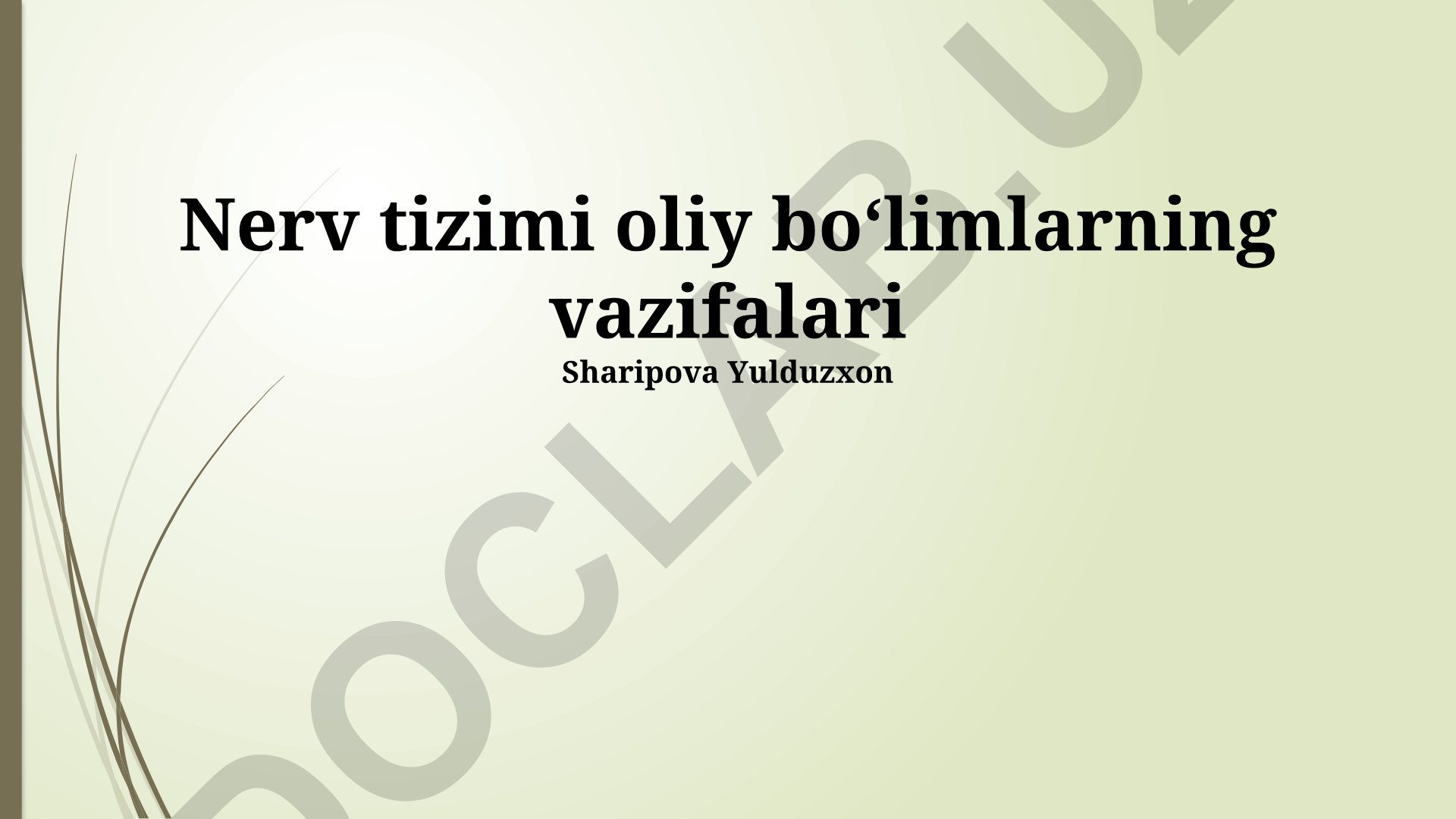 Nerv tizimi oliy boʻlimlarning vazifalari