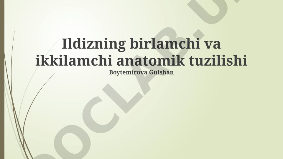 Ildizning birlamchi va ikkilamchi anatomik tuzilishi