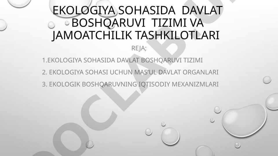 Ekologiya sohasida davlat boshqaruvi tizimi va jamoatchilik tashkilotlari