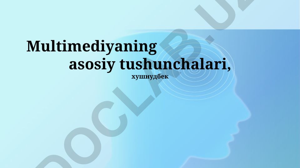 Multimediyaning asosiy tushunchalari va qo'llanilishi