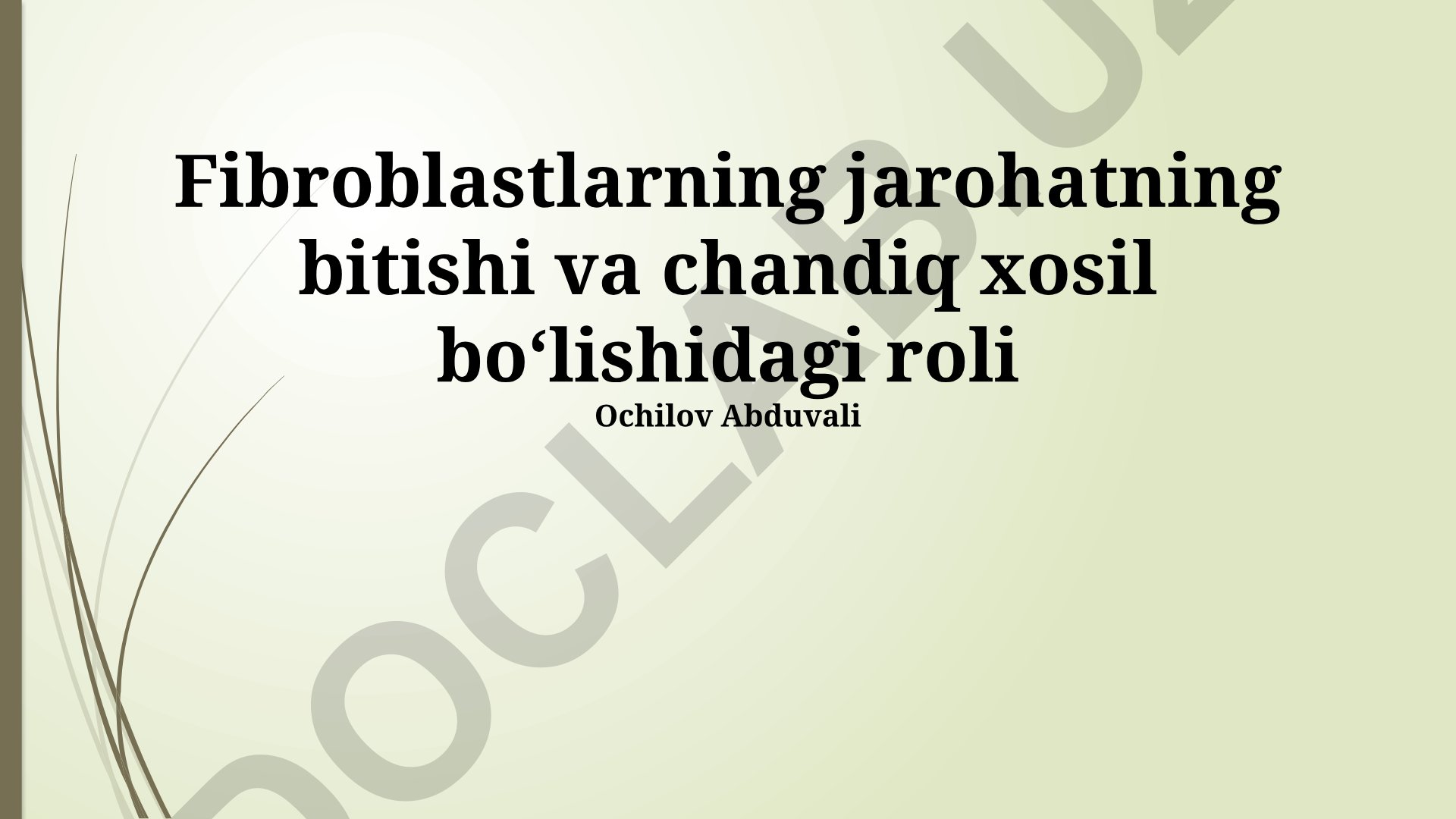 Fibroblastlarning jarohat bitishi va chandiq xosil bo'lishidagi roli
