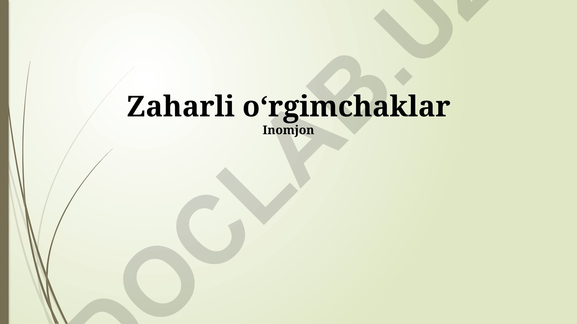 Zaharli o'rgimchaklar: ta'siri, turlari va birinchi yordam
