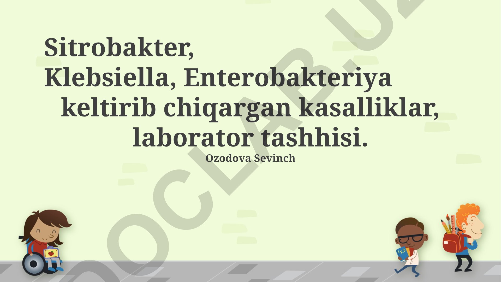 Citrobacter, Klebsiella va Enterobacter bakteriyalarining keltirib chiqaradigan kasalliklar