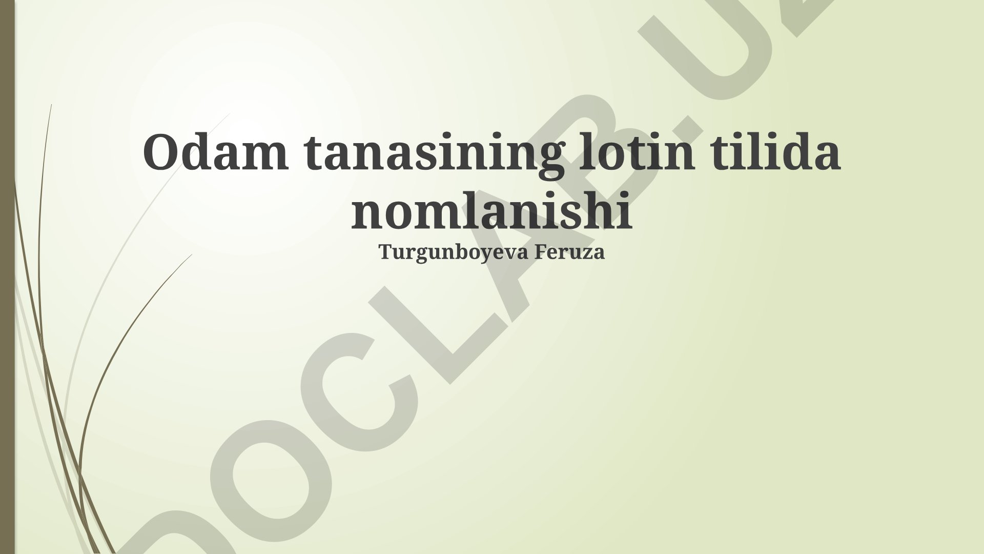 Inson tanasining lotin tilida nomlanishi