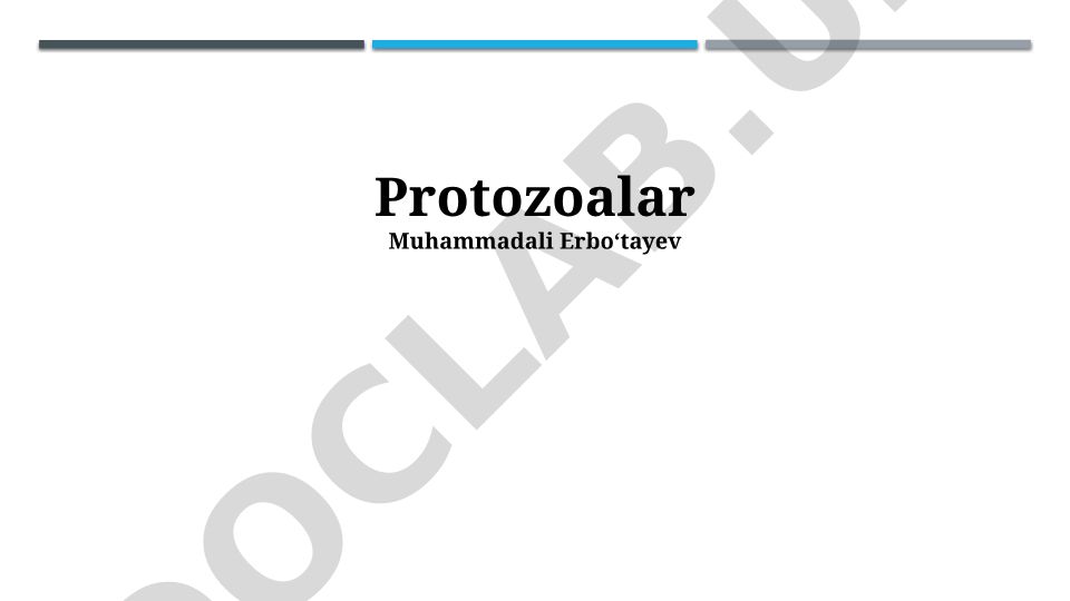 Protozoa turlari, xususiyatlari va inson salomatligiga ta'siri