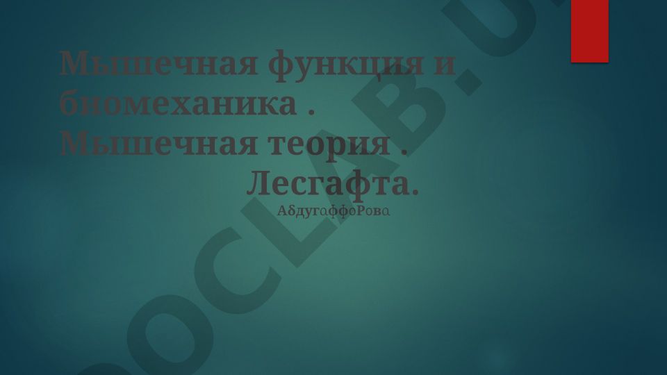 Мышечная функция и биомеханика: теория Лесгафта