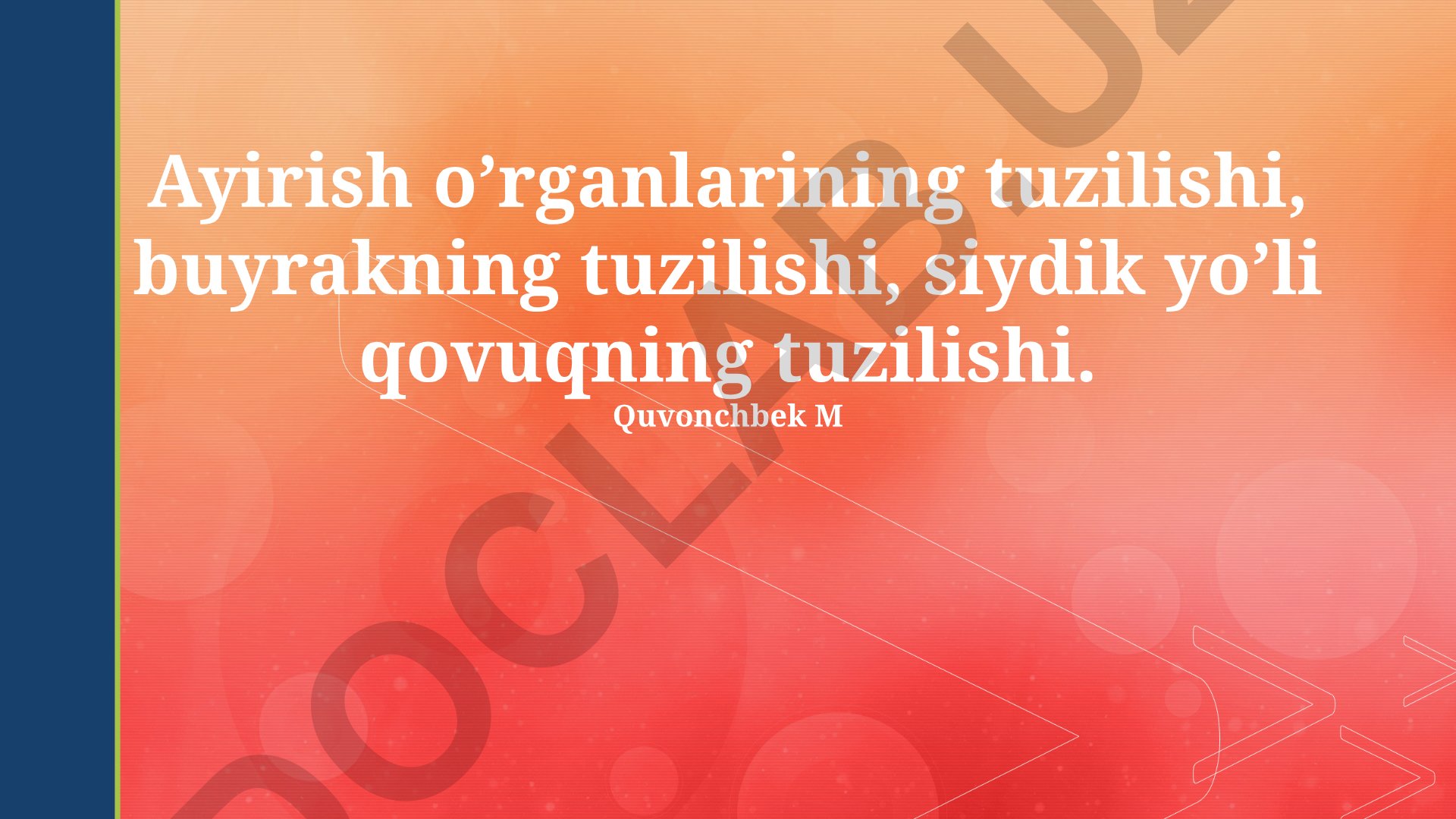 Ayirish organlari va siydik yo'llari tuzilishi