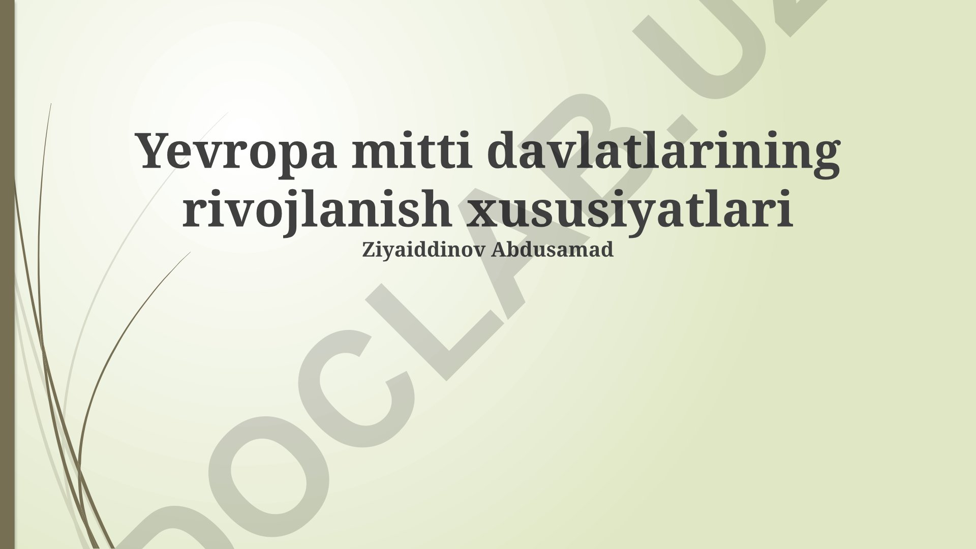 Yevropa mitti davlatlarining rivojlanish xususiyatlari