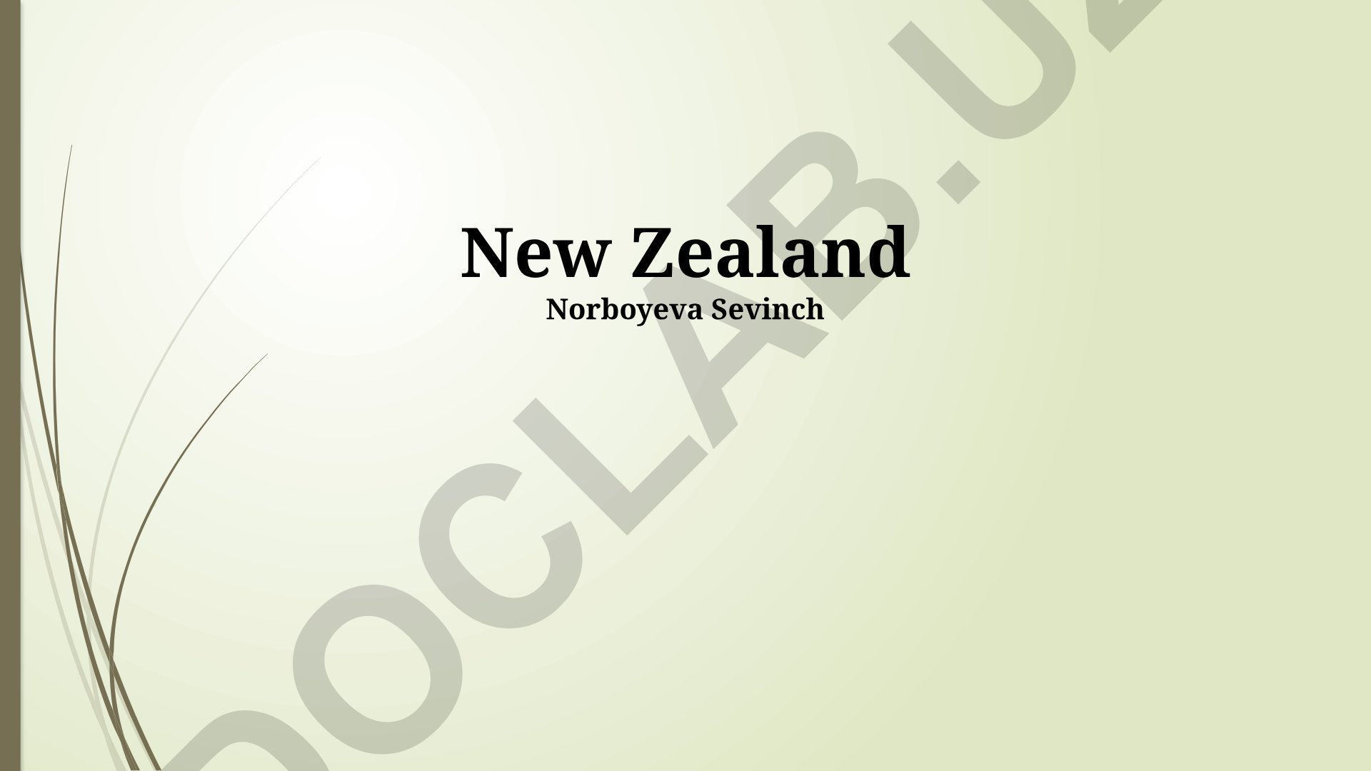 New Zealand: Natural Wonders, Culture, Economy and Politics