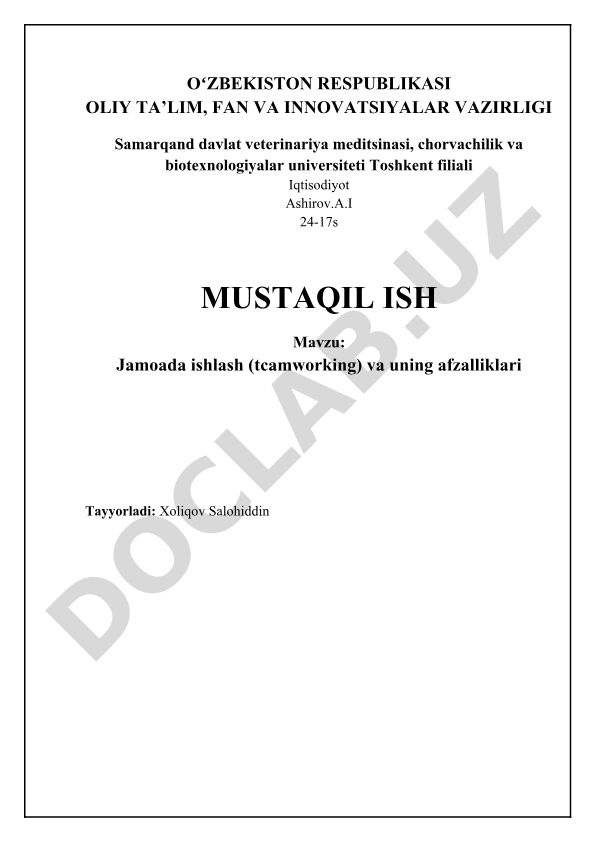 Jamoada ishlash (teamworking) va uning afzalliklari