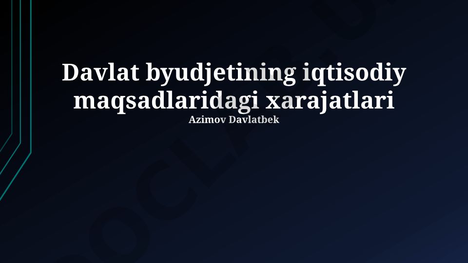 Davlat byudjeti xarajatlarining iqtisodiy maqsadlarga yo'naltirilishi