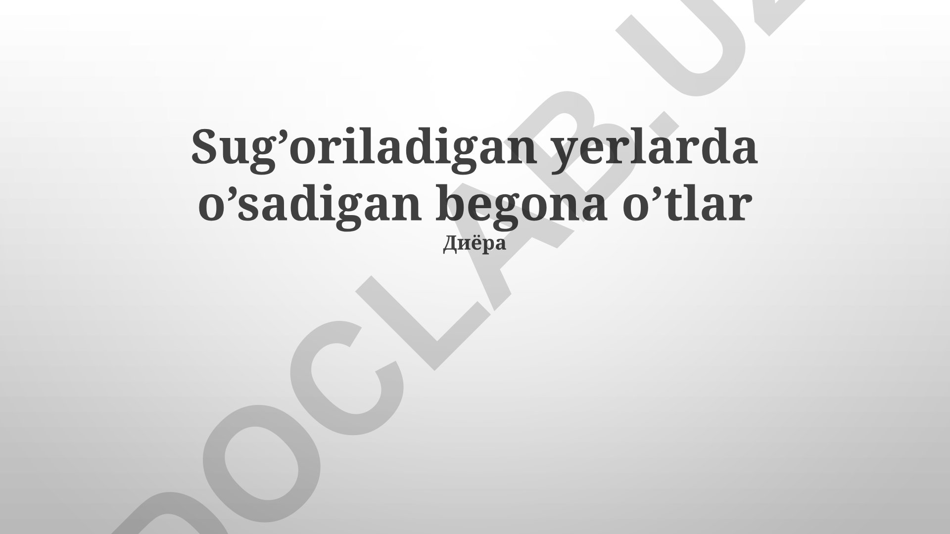 Sug'oriladigan yerlarda o'sadigan begona o'tlar