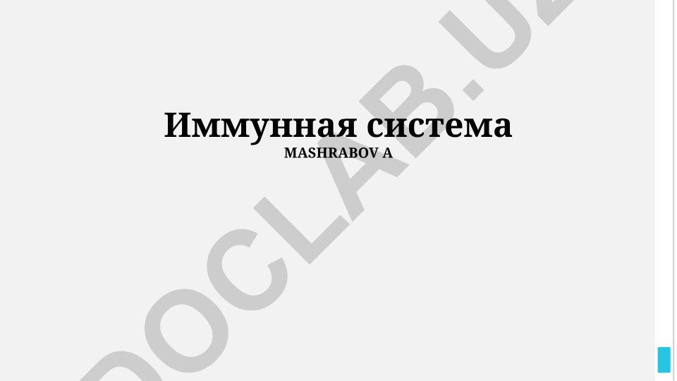 Иммунная система: компоненты, органы и иммунный ответ