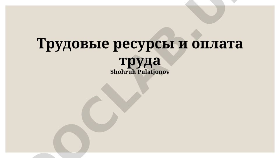 Трудовые ресурсы и оплата труда