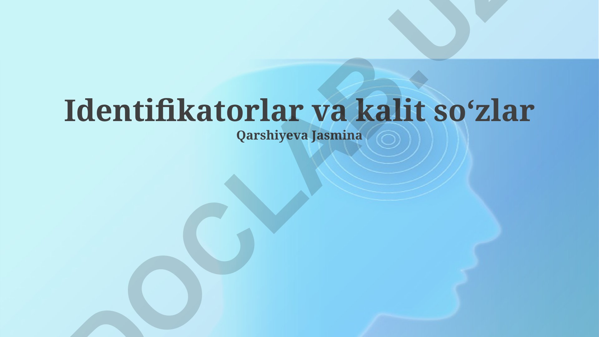 Identifikatorlar va kalit soʻzlar