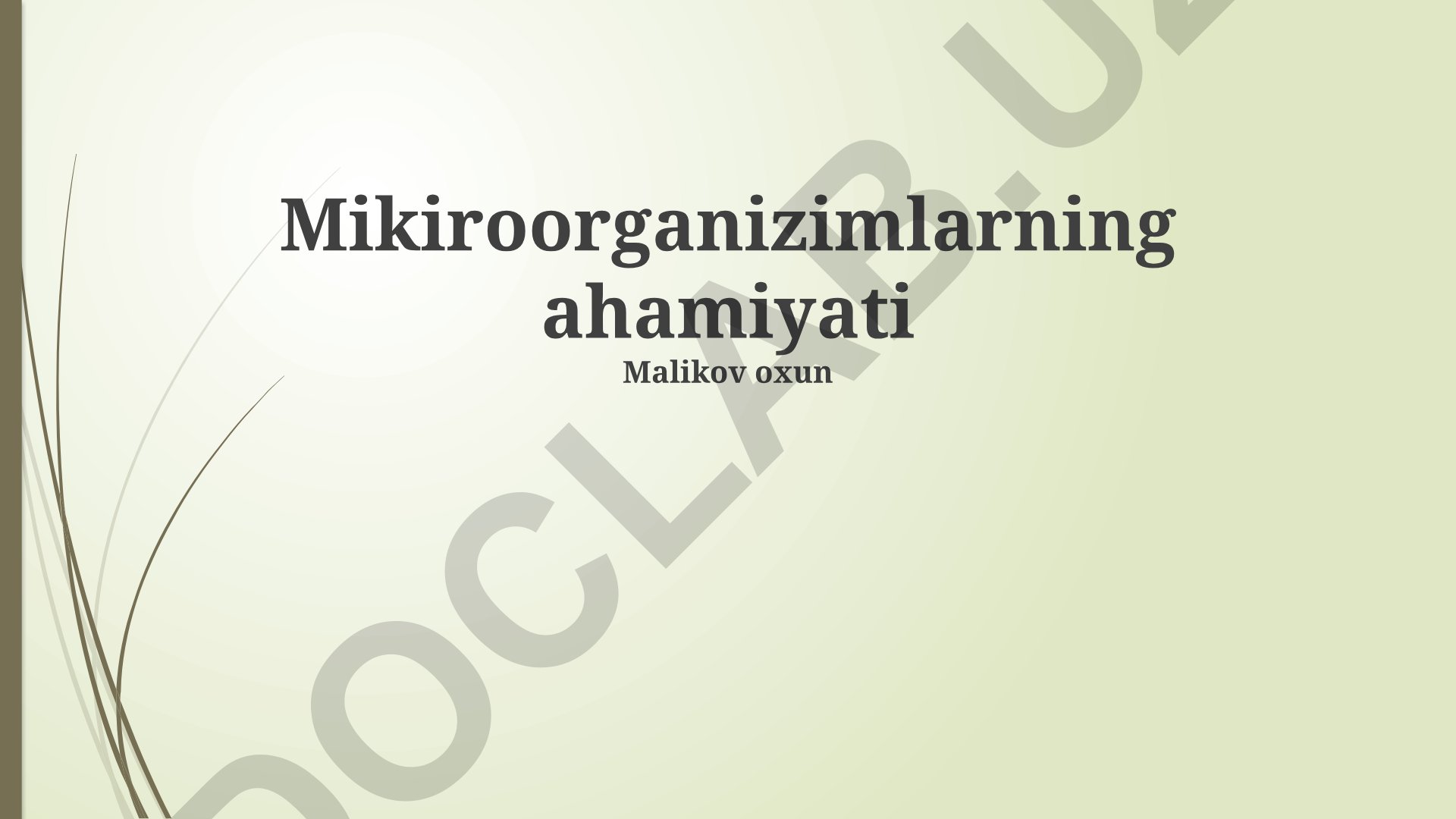 Mikroorganizmlarning bioremediatsiya va biotexnologiyadagi ahamiyati