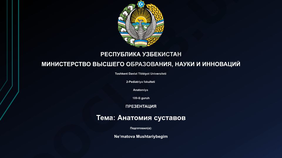 Анатомия суставов