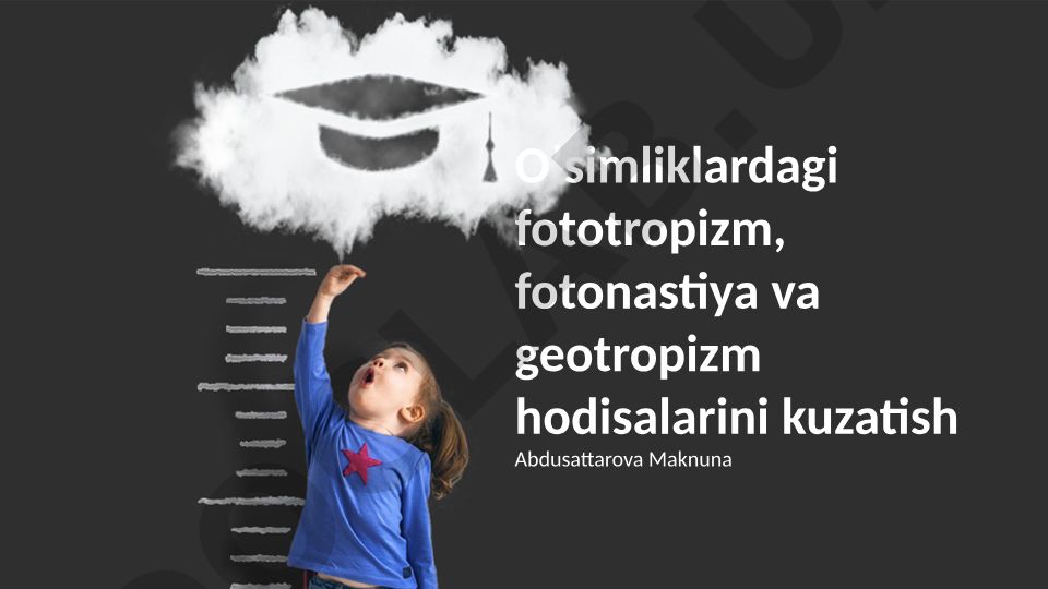 O'simliklardagi fototropizm, fotonastiya va geotropizm hodisalarini kuzatish