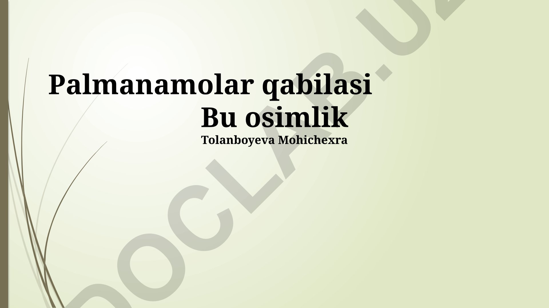 Palmanomolar qabilasi: umumiy ma'lumot, ahamiyati va turlari