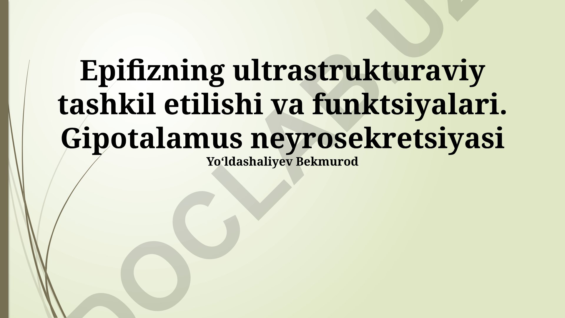 Epifizning ultrastrukturaviy tashkil etilishi va funktsiyalari. Gipotalamus neyrosekretsiyasi