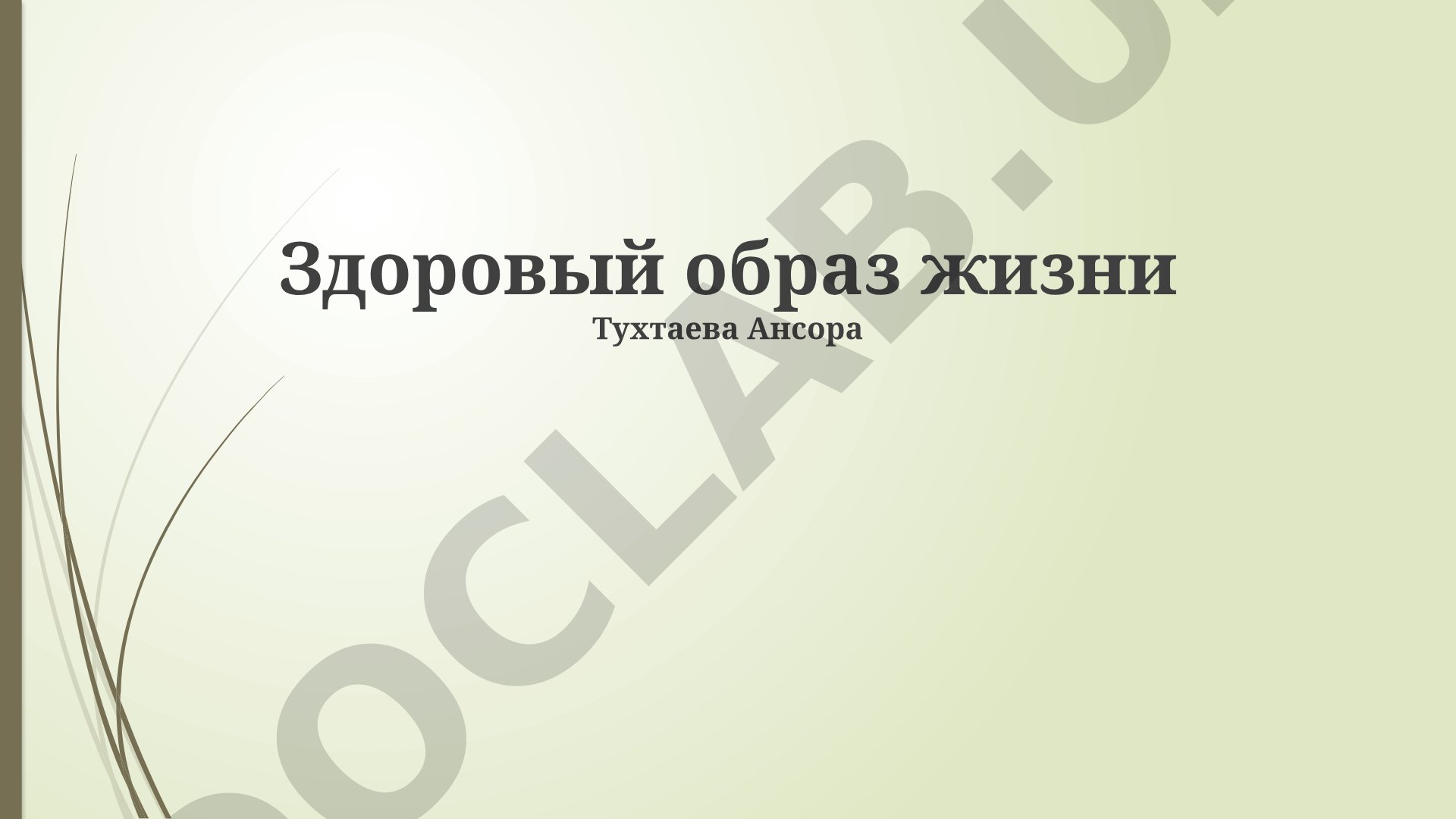 Здоровый образ жизни
